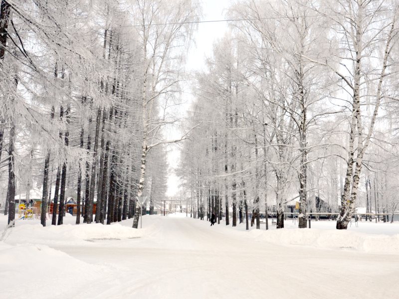 Первая неделя февраля. Фото поселка Сокольское зимой вечером. Зимние пейзажи фото пос . Чернышевского. Фото с 1 февраля. Небольшой снег в Шатуре.