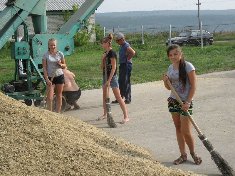 Погода село запрудное питерский. Трудовой Саратовская область. Поселок Нива Саратовская область. Совхоз трудовой Питерский район Саратовская область. Саратовская область Питерский район село Трудовое.