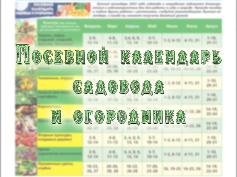 Посевной календарь на 2024 год приморский край