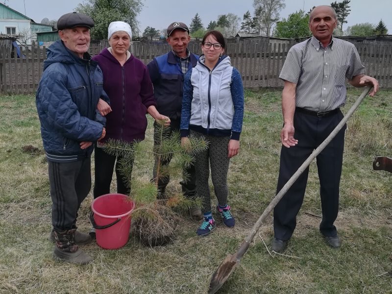 Погода на неделю михайловский