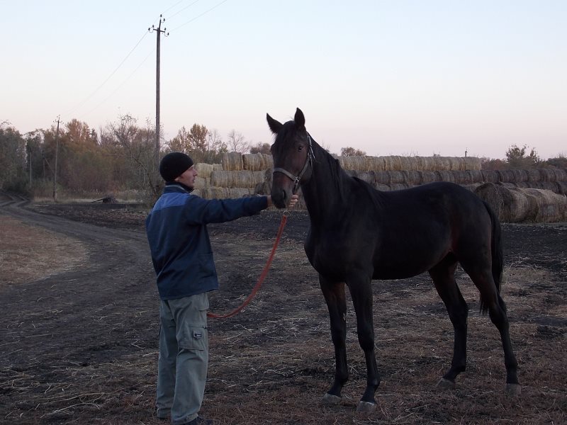 Погода село красавка самойловский