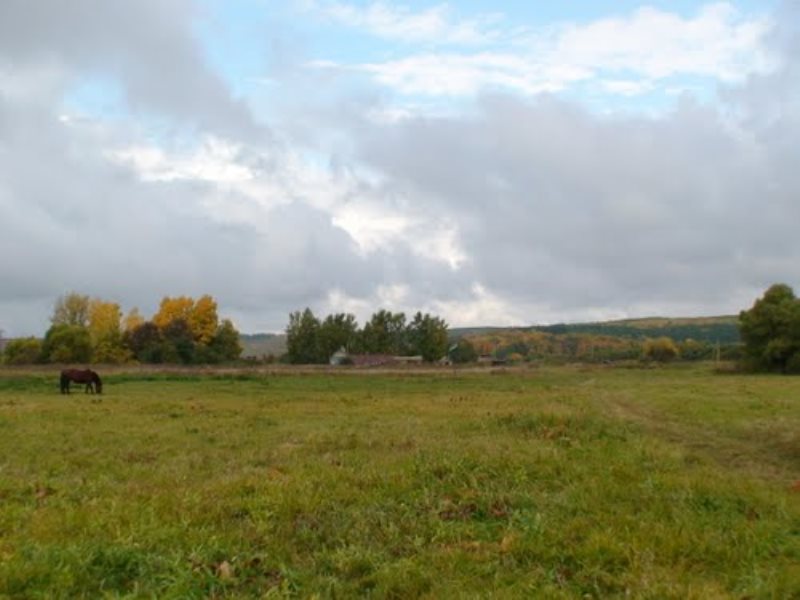 Погода пензенская область каменский