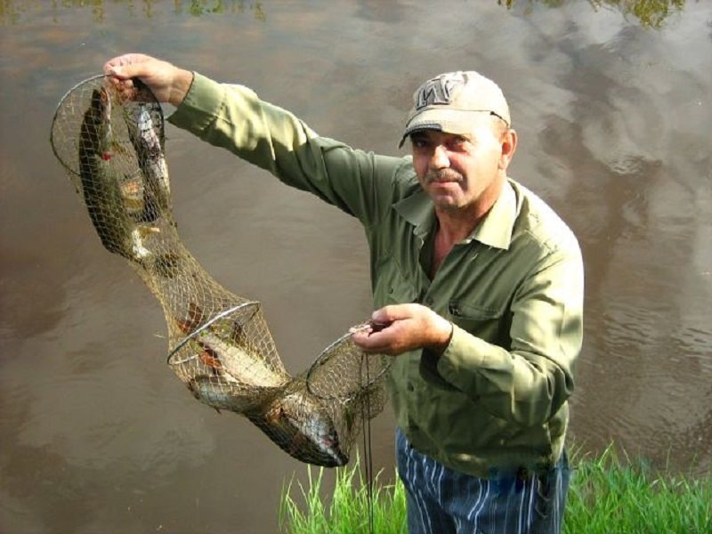 Рыбалка в Республике Алтай - полезная информация и советы