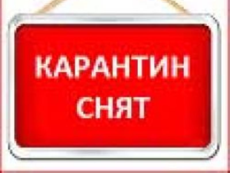 Внимание карантин картинки