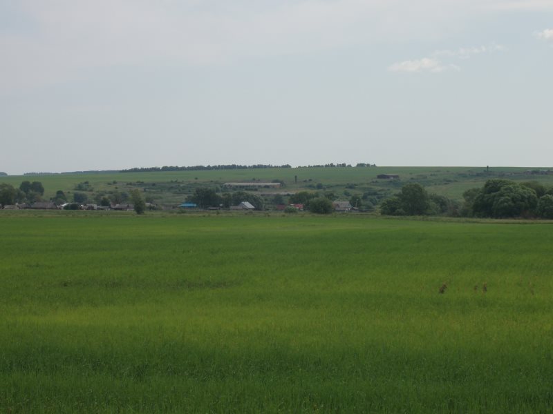 Погода село родное. Родное село. Живи село родное. Живет село родное. Живи село мое родное.