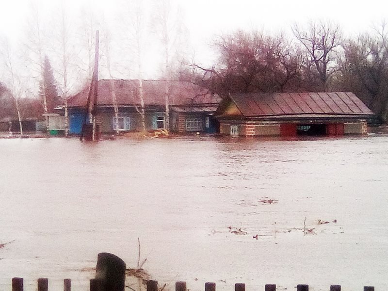 Погода на неделю в михайловке алтайского края