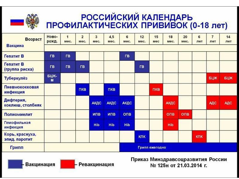 Вакцина в 3 года. График прививок для детей до года в России таблица 2021. Календарь прививок для детей 2021 в России таблица. Календарь прививок 2021 для детей до года в России таблица. Национальный календарь прививок РФ 2021.