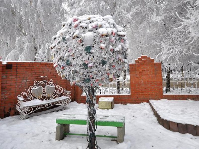 Заринск алтайский край достопримечательности