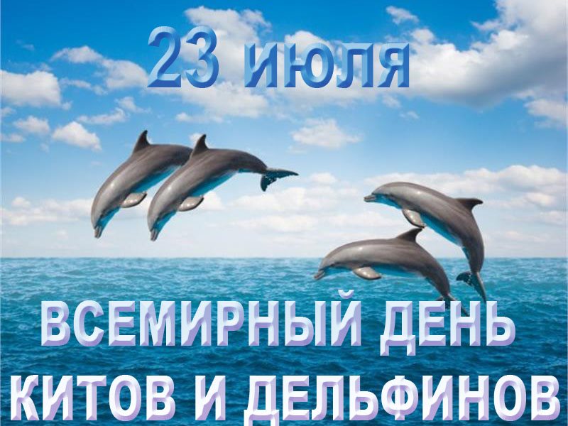 Смс поздравления на Всемирный день китов и дельфинов