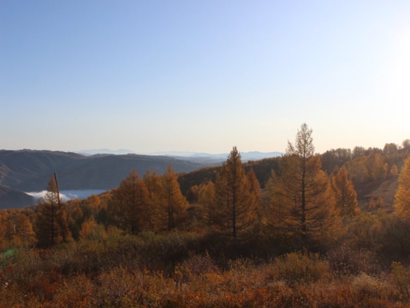 Погода алтайский край краснощековский. Молчаново Краснощековский район Алтайский край.