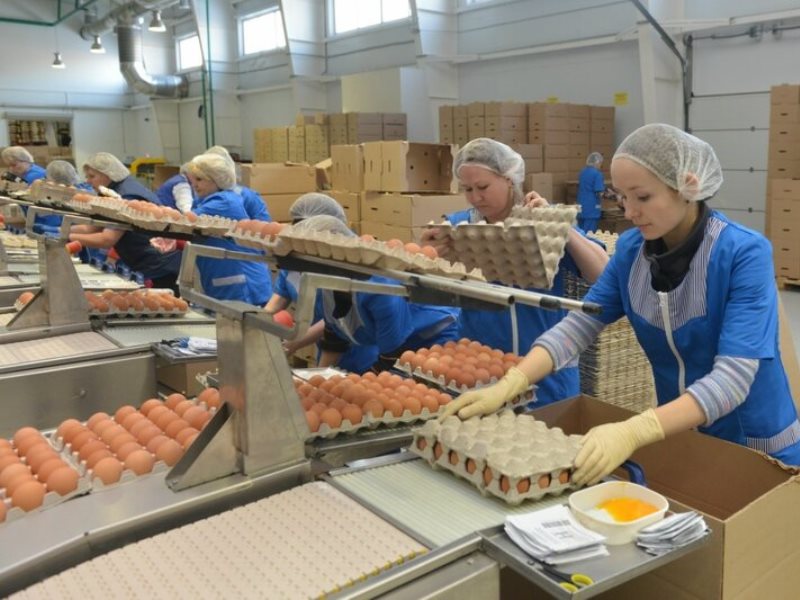 Где Купить Продукцию Нерюнгринской Птицы Фабрики