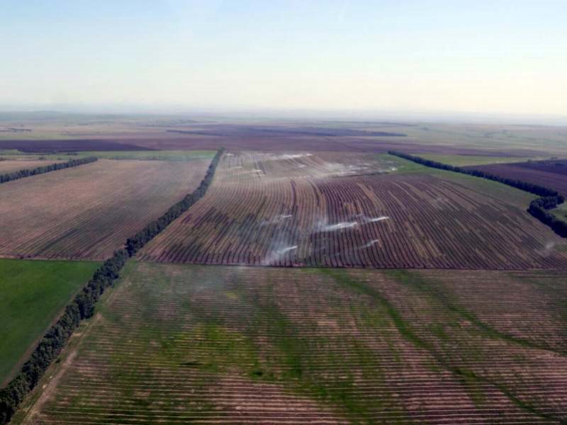 Погода в петропавловском районе алтайского края. Алтайский край Петропавловский район село Петропавловка. Петропавловский район (Алтайский край) районы Алтайского края. Петропавловское Алтайский край аэропорт. Лиман Алтайский край.