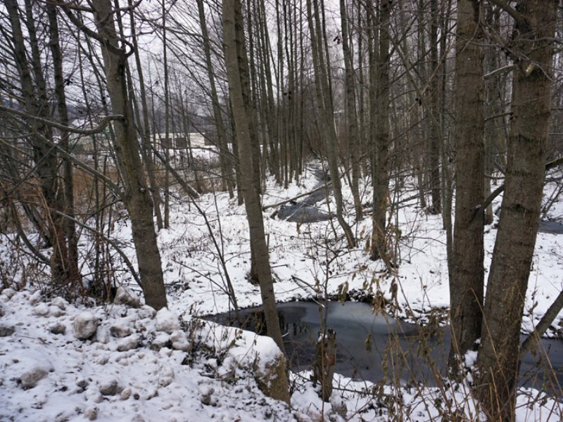 Река угрюмка в новосибирске