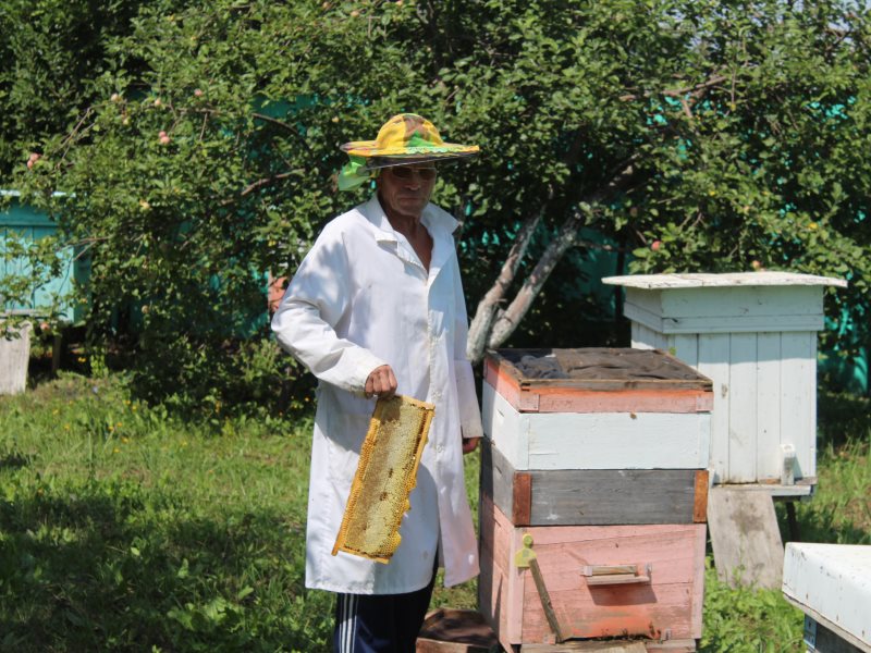 Руководство по пчеловодству создание сильных пчелиных семей | биржевые-записки.рф