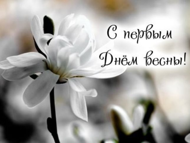 С Первым днем весны! 25 красочных картинок для лучшего начала марта | Canva | Дзен